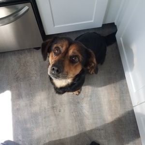 Meet your Posher, Charles